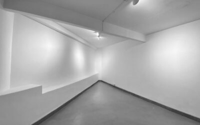 Brizuela – Toro, Pensar la obra como el espacio de una sala